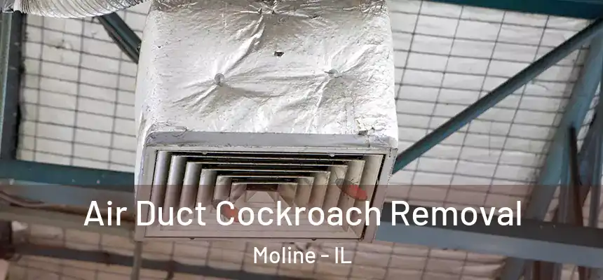 Air Duct Cockroach Removal Moline - IL