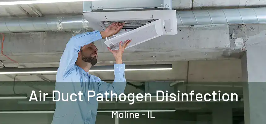  Air Duct Pathogen Disinfection Moline - IL