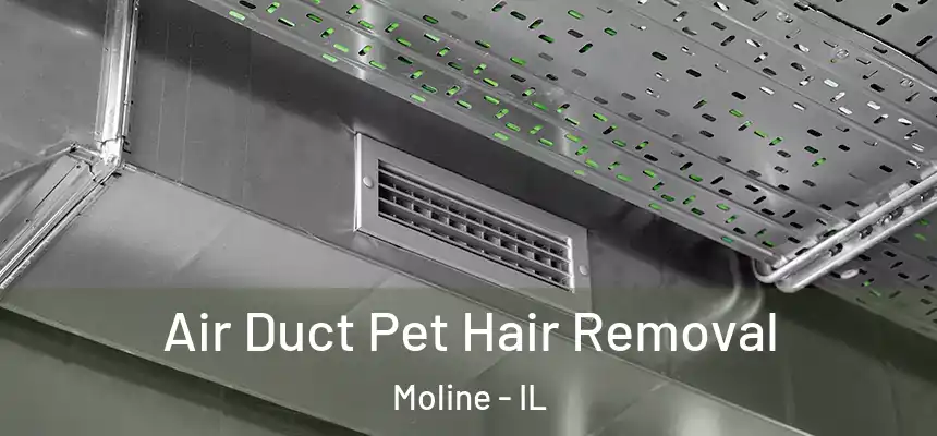 Air Duct Pet Hair Removal Moline - IL