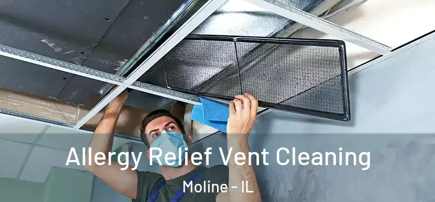 Allergy Relief Vent Cleaning Moline - IL