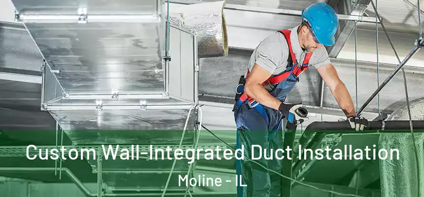 Custom Wall-Integrated Duct Installation Moline - IL