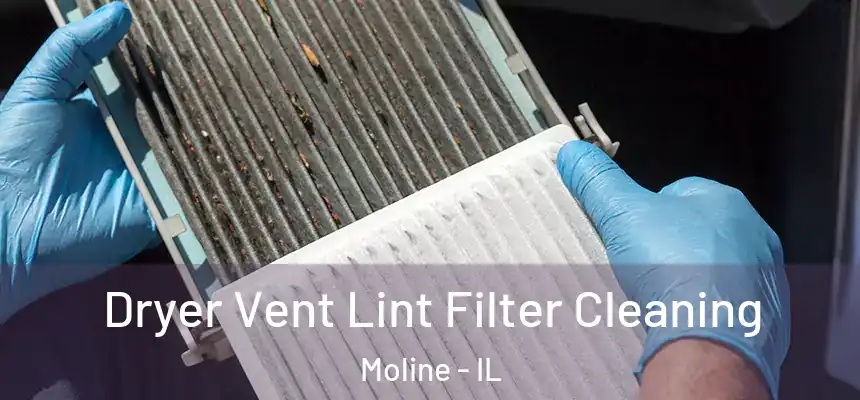  Dryer Vent Lint Filter Cleaning Moline - IL