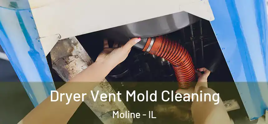 Dryer Vent Mold Cleaning Moline - IL