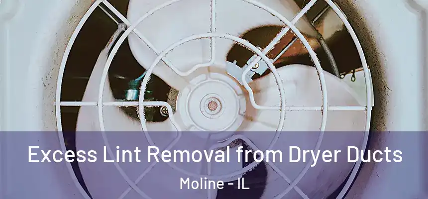 Excess Lint Removal from Dryer Ducts Moline - IL