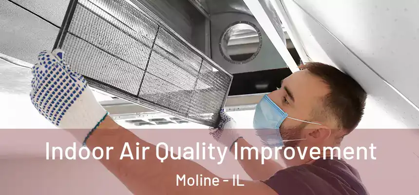  Indoor Air Quality Improvement Moline - IL