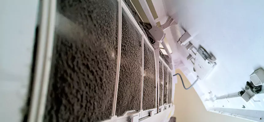 Preventive Air Duct Bacteria Removal in Moline