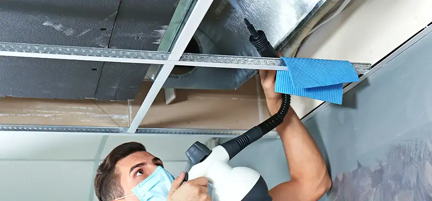 Our Air Duct Rodent Removal Services in Moline, IL