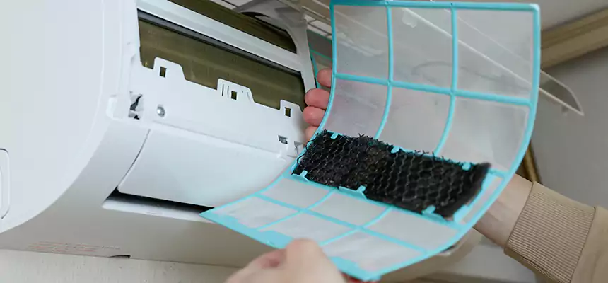 Gentle Ductwork Odor-Control Pet Dander Duct Cleaning in Moline, IL