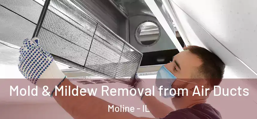  Mold & Mildew Removal from Air Ducts Moline - IL