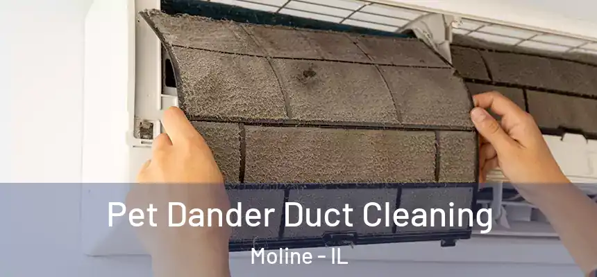 Pet Dander Duct Cleaning Moline - IL