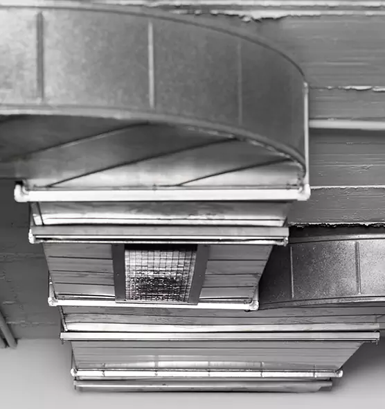 Professional Air Duct Pest Removal in Moline, IL