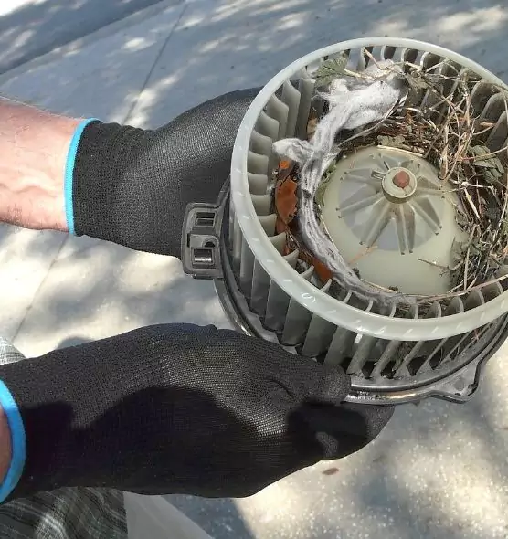 About Air Duct Rat Removal in Moline, IL