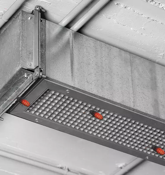 Affordable Insect Removal from Air Ducts in Moline, IL