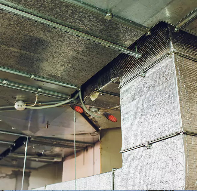 Why Homeowners & Businesses Trust Us in Moline, IL?