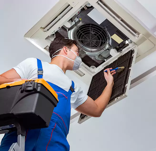 Why Homeowners & Businesses Trust Us in Moline, IL