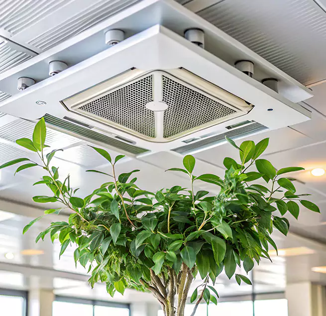 Why Homeowners & Businesses Trust Us in Moline, IL