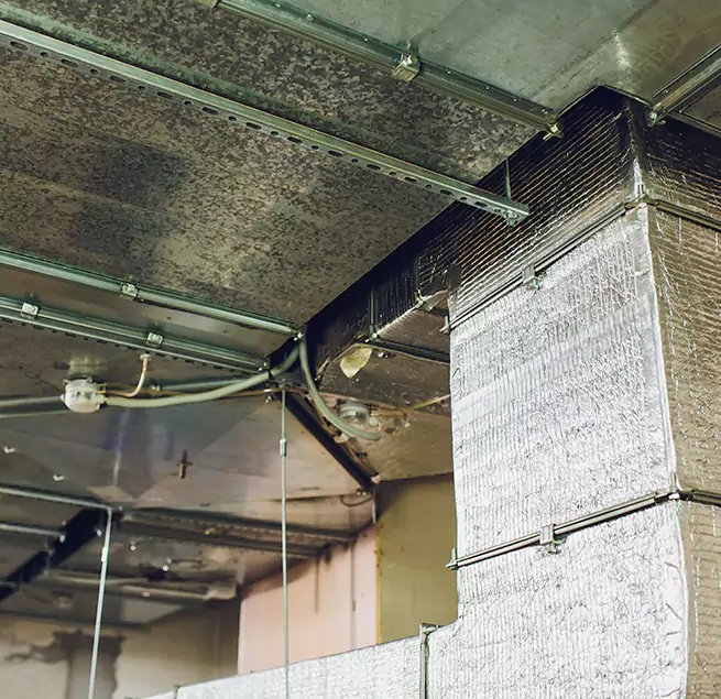 Why Homeowners & Businesses Trust Us in Moline, IL?