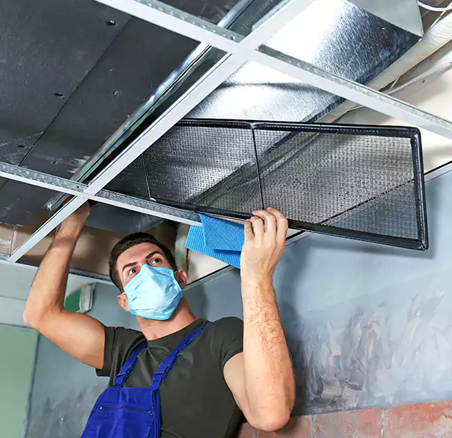 Why Homeowners Businesses Trust Us in Moline, IL