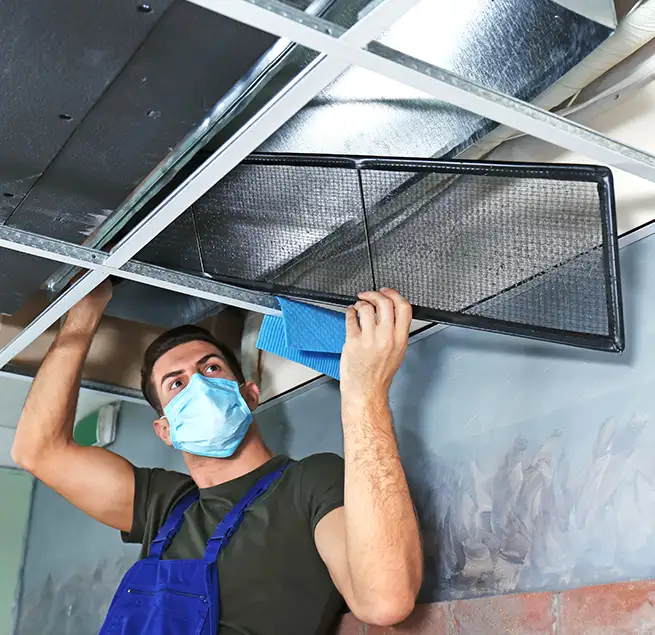 Why Homeowners & Businesses Trust Us in Moline, IL?